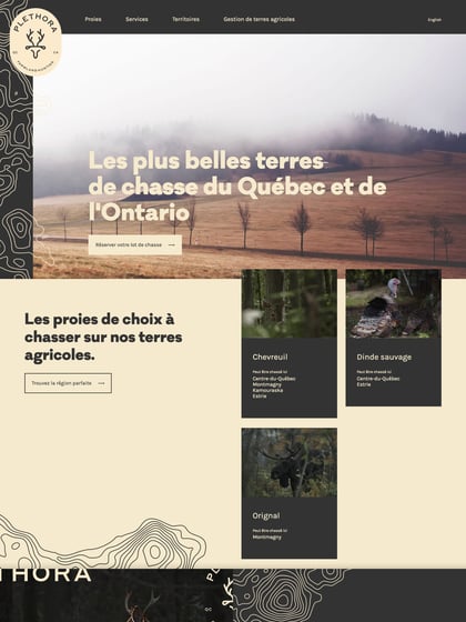 Plethora Thumbnail Preview