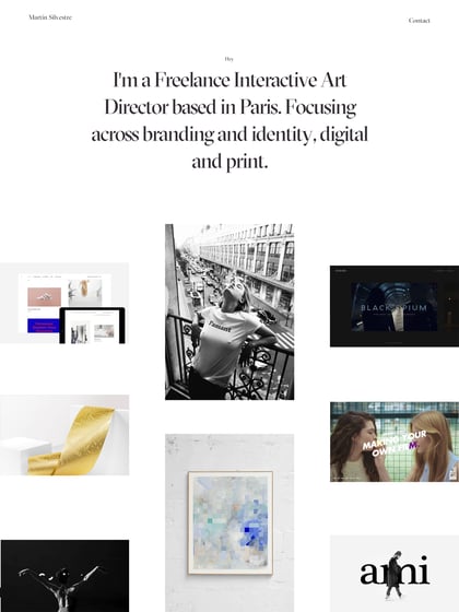 Martin Silvestre Thumbnail Preview