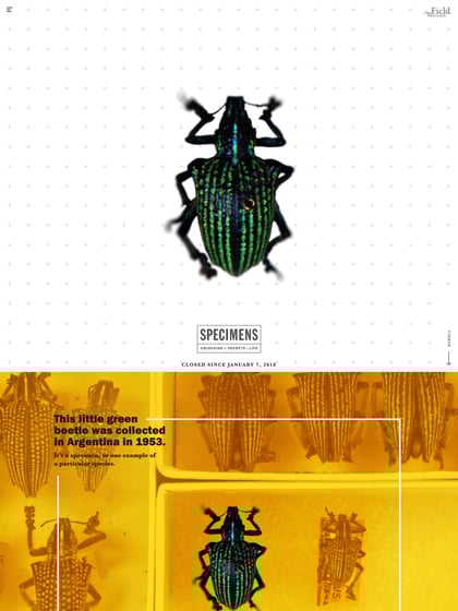 Specimens – The Field Museum Thumbnail Preview