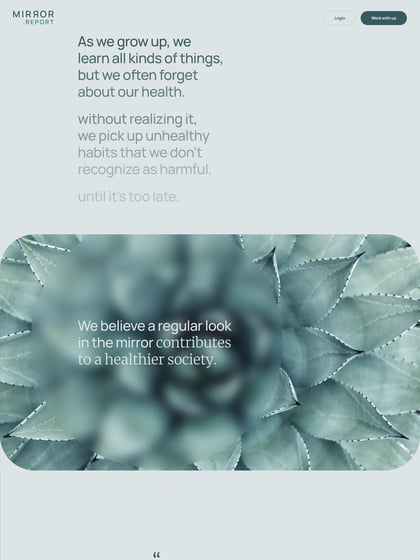 Mirror.Report Thumbnail Preview