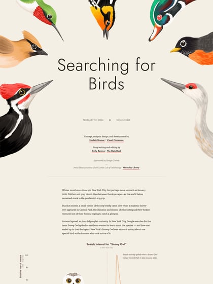 Searching for Birds Thumbnail Preview