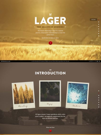 Beauty of Brewing Thumbnail Preview