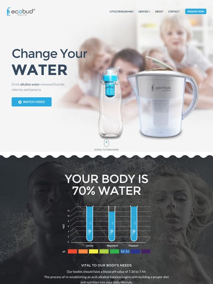 Ecobud USA Thumbnail Preview