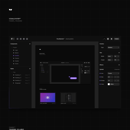 Visual System Training – Framer