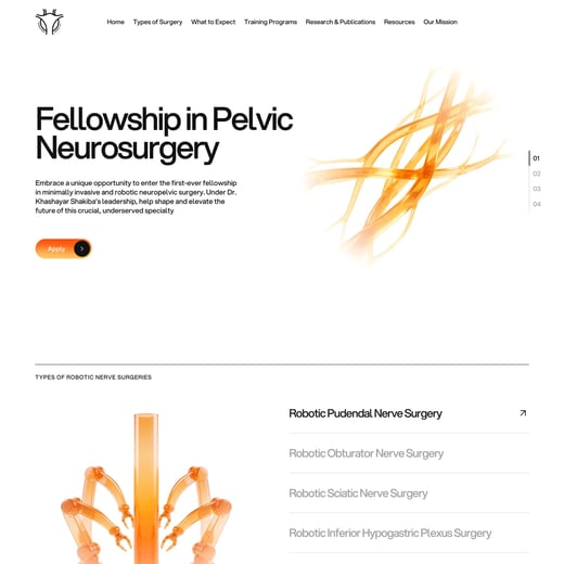 Neuropelvic Surgery