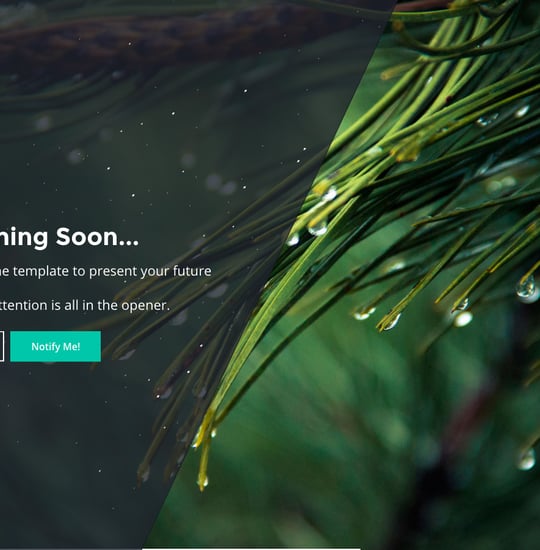 PHLY Template Thumbnail Preview