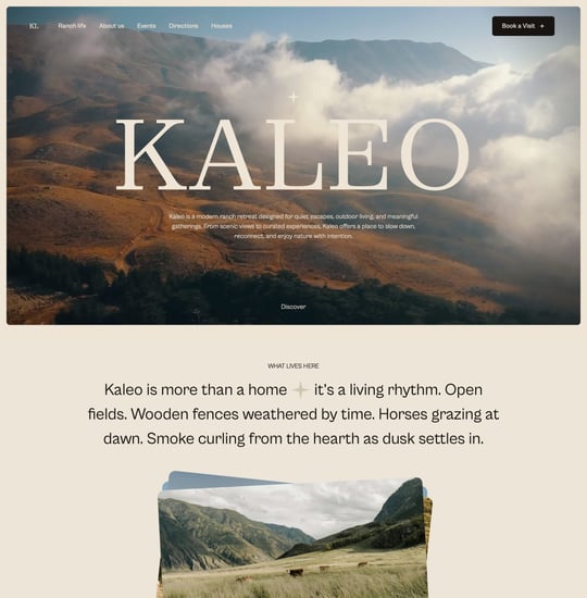 Kaleo Template Thumbnail Preview