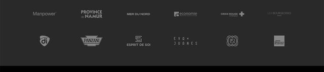 Kingsize Client Logo Grid Preview