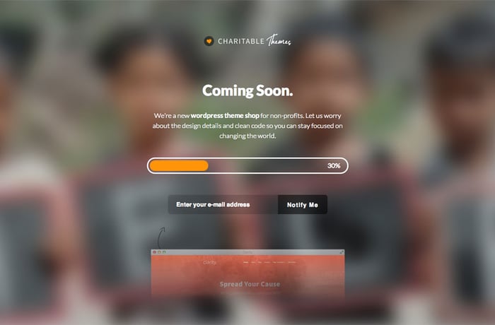 Charitable Themes website preview