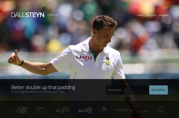 Dale Steyn website preview