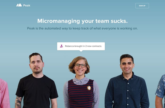 Peak website preview