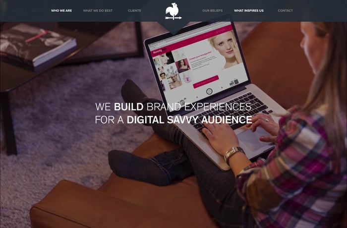 Barnyard website preview