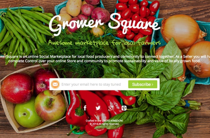 GrowerSquare website preview