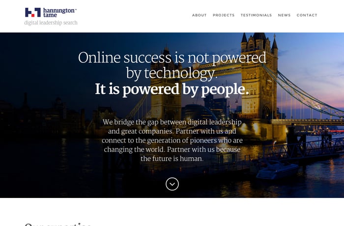 Hannington Tame website preview