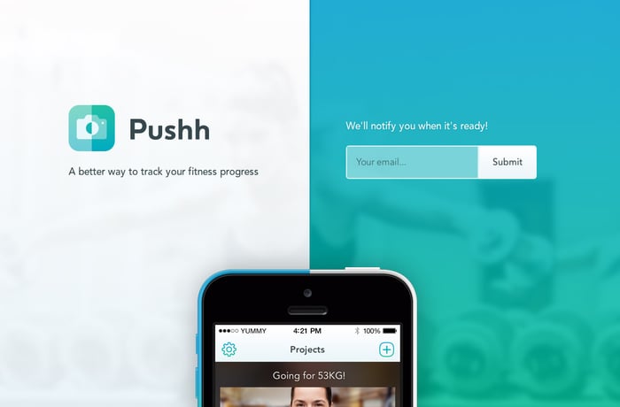 Pushh website preview