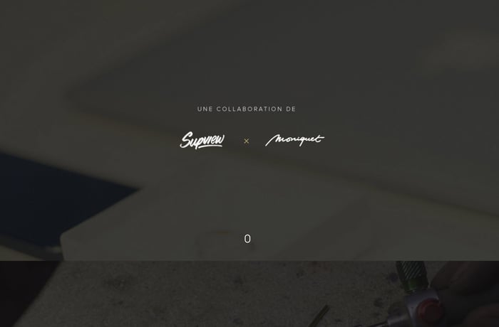 Online Proposal of François Martin website preview