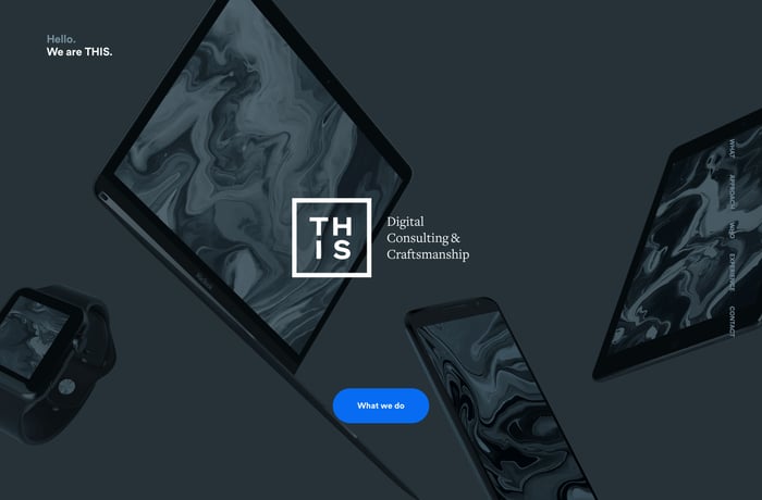 THIS website preview