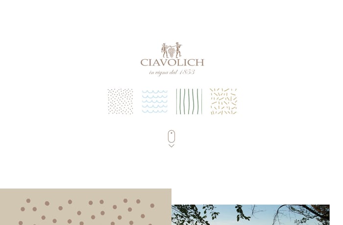 Wedding Ciavolich website preview