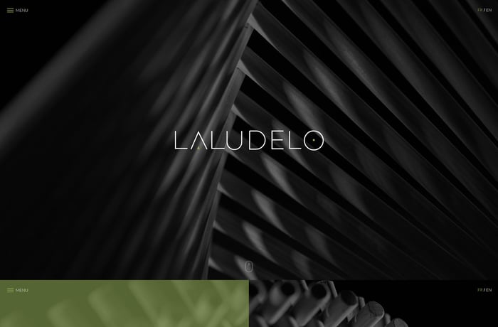 Laludelo website preview