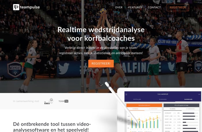 Teampulse website preview