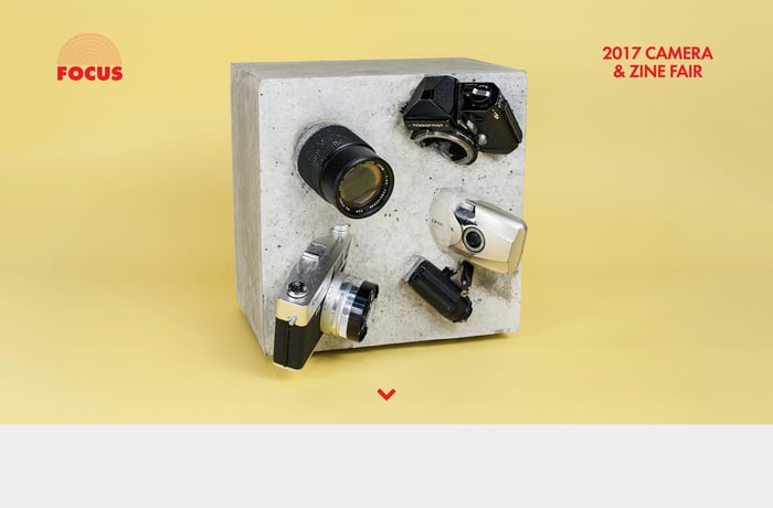 Focus Fair website preview