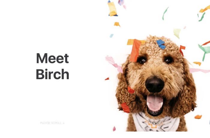 Doggo For Hire website preview