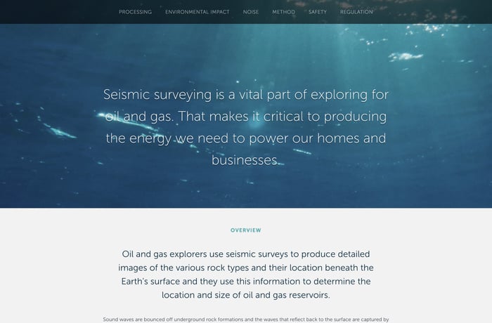 Seismic Survey website preview