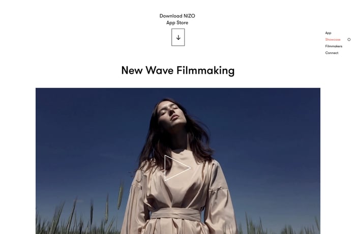 Nizo website preview