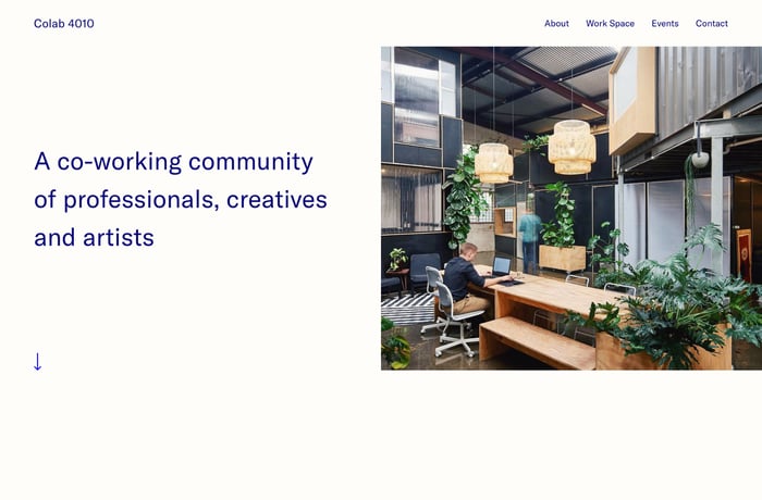 Colab 4010 website preview