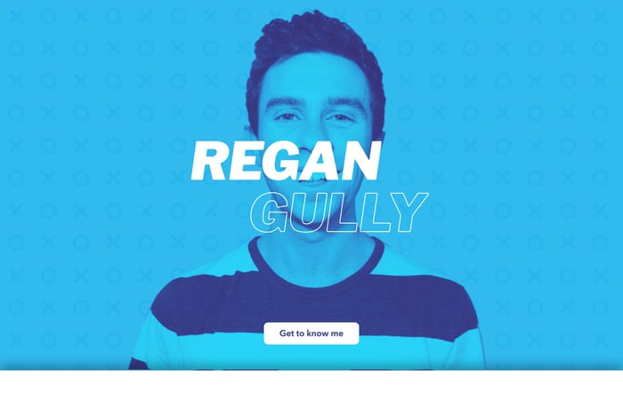 Regan Gully website preview