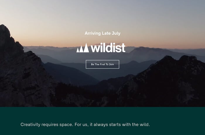Wildist website preview