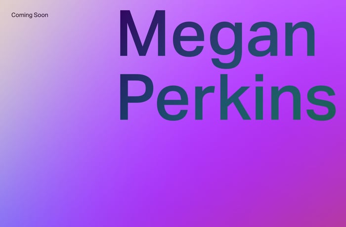 Megan Perkins website preview