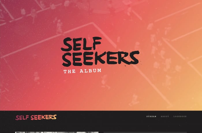 Self Seekers website preview