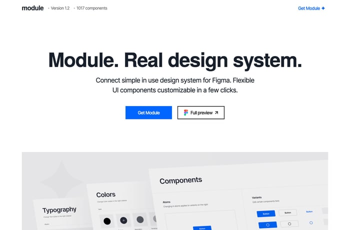 Module website preview