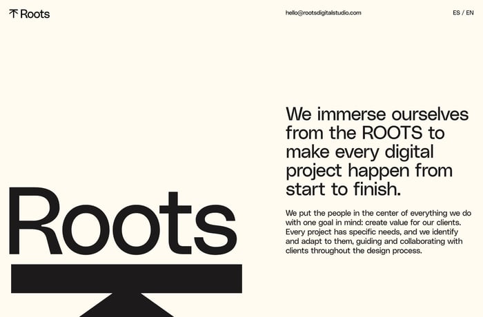Roots Digital Studio website preview