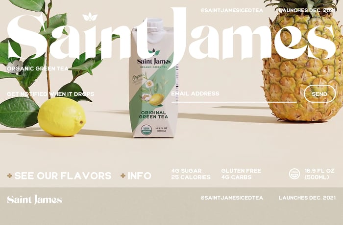 Saint James website preview