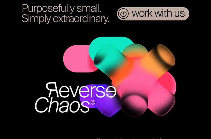 Reverse Chaos website preview