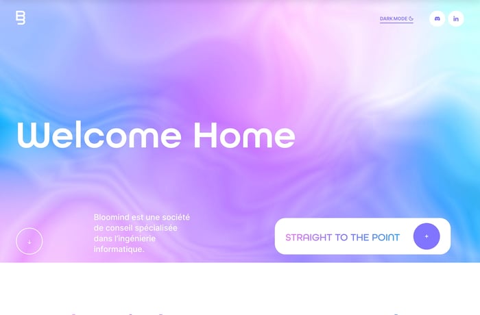 Bloomind website preview