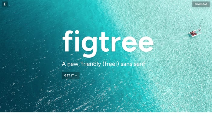 Figtree website preview