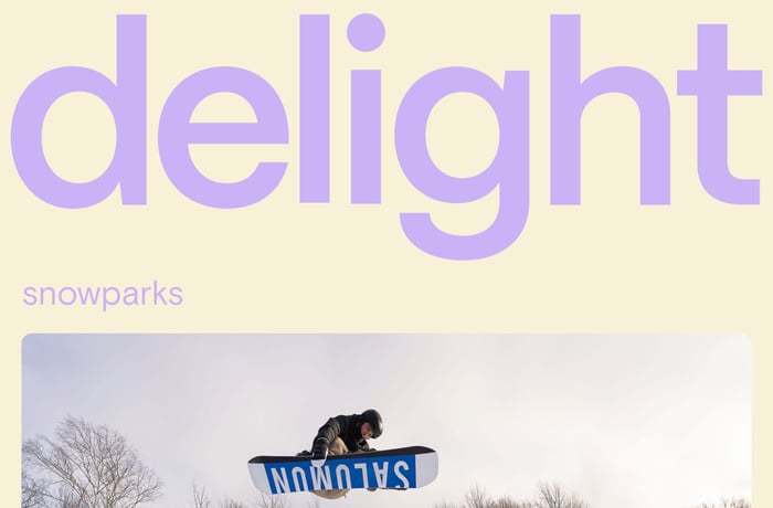 Delight website preview