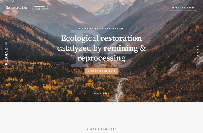 Regeneration website preview