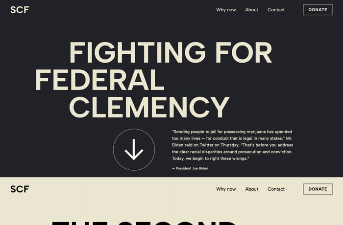 Second Chance website preview