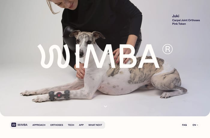 Wimba website preview
