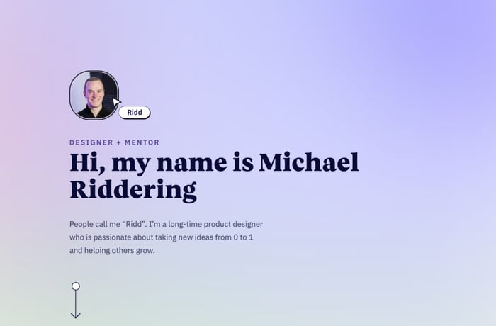 Michael Riddering website preview