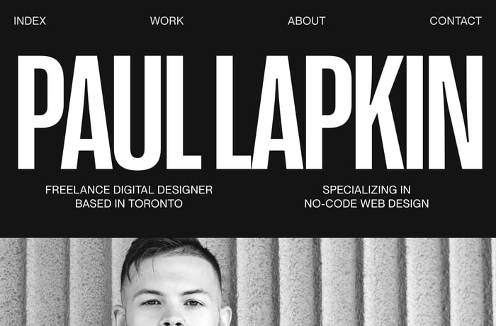 Paul Lapkin website preview