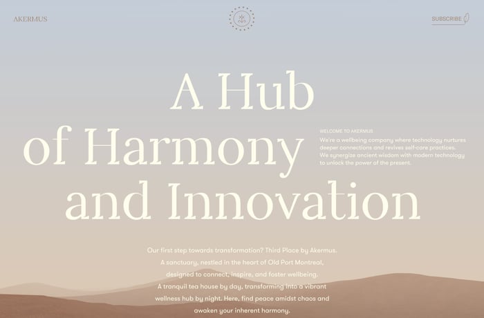 Akermus website preview
