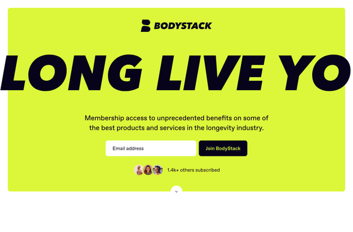 BodyStack website preview