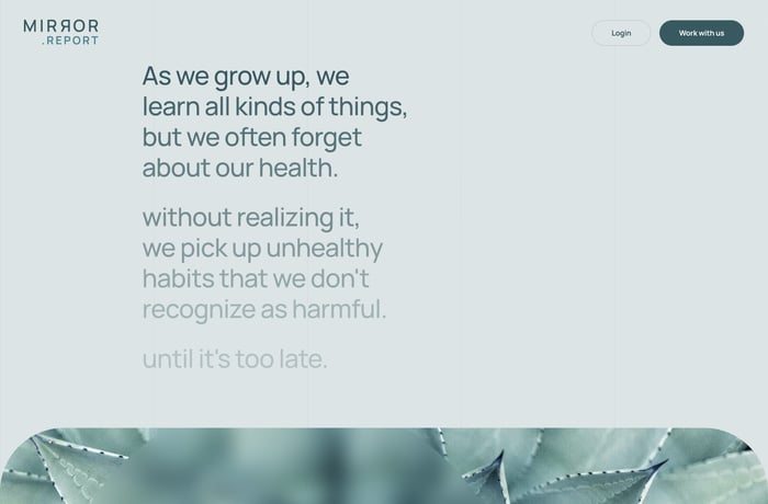 Mirror.Report website preview