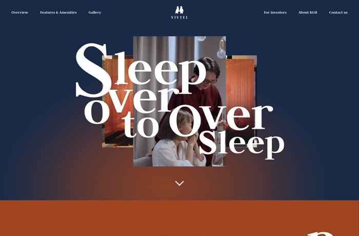 VIVTEL website preview