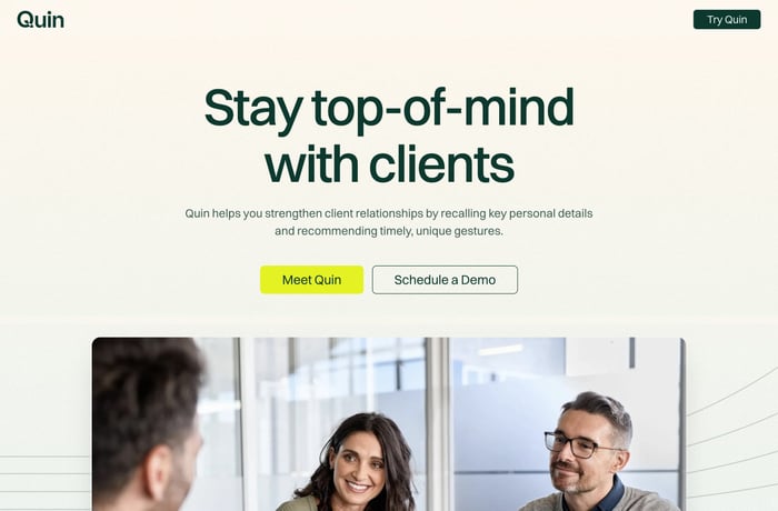 Quin website preview